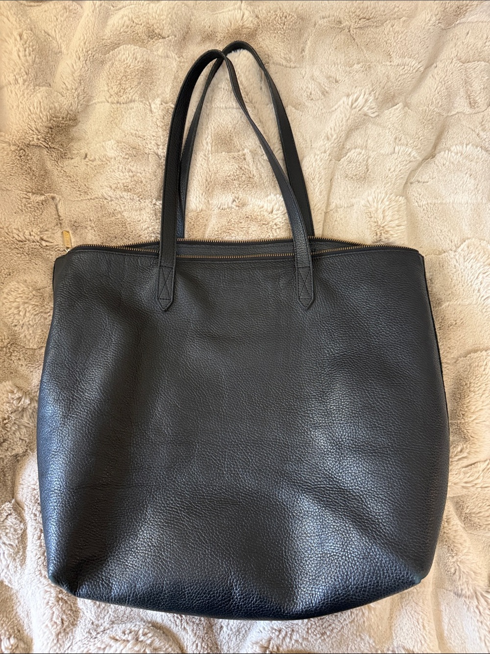Cuyana Zipper Leather Tote plus Tote Insert